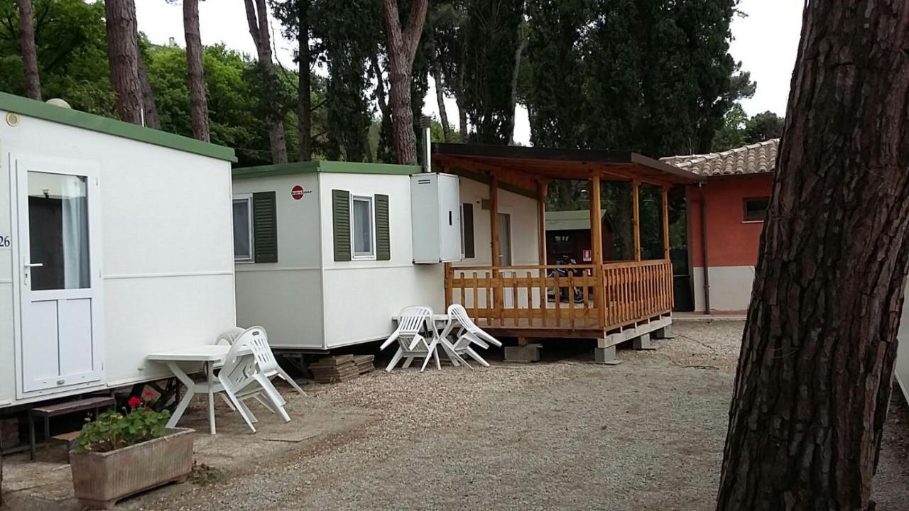 Campsite Parco Dei Pini *